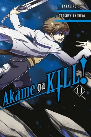 Akame Ga Kill GN Vol 11