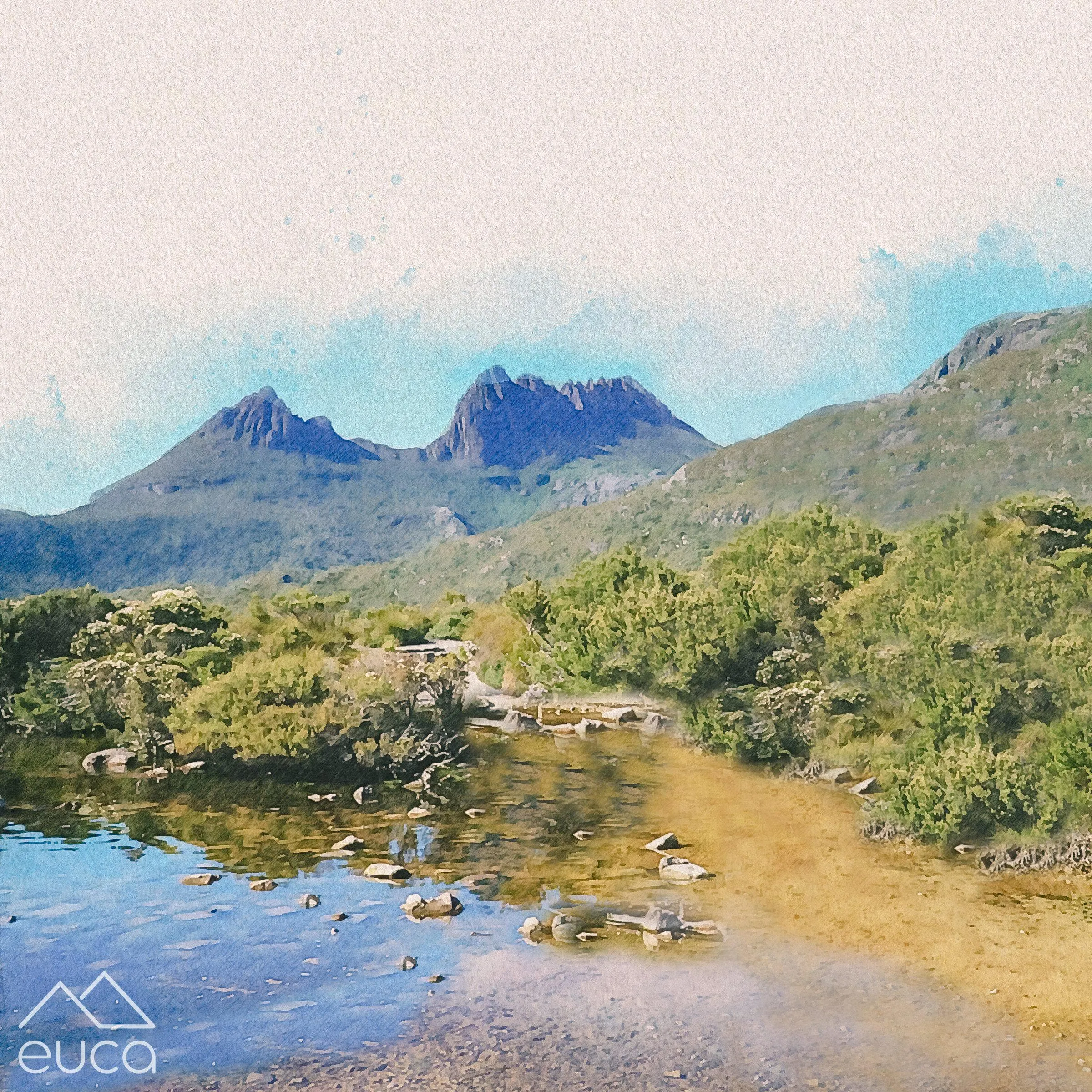 Cradle Mountain Forest