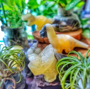 Natural History Blind Boxes