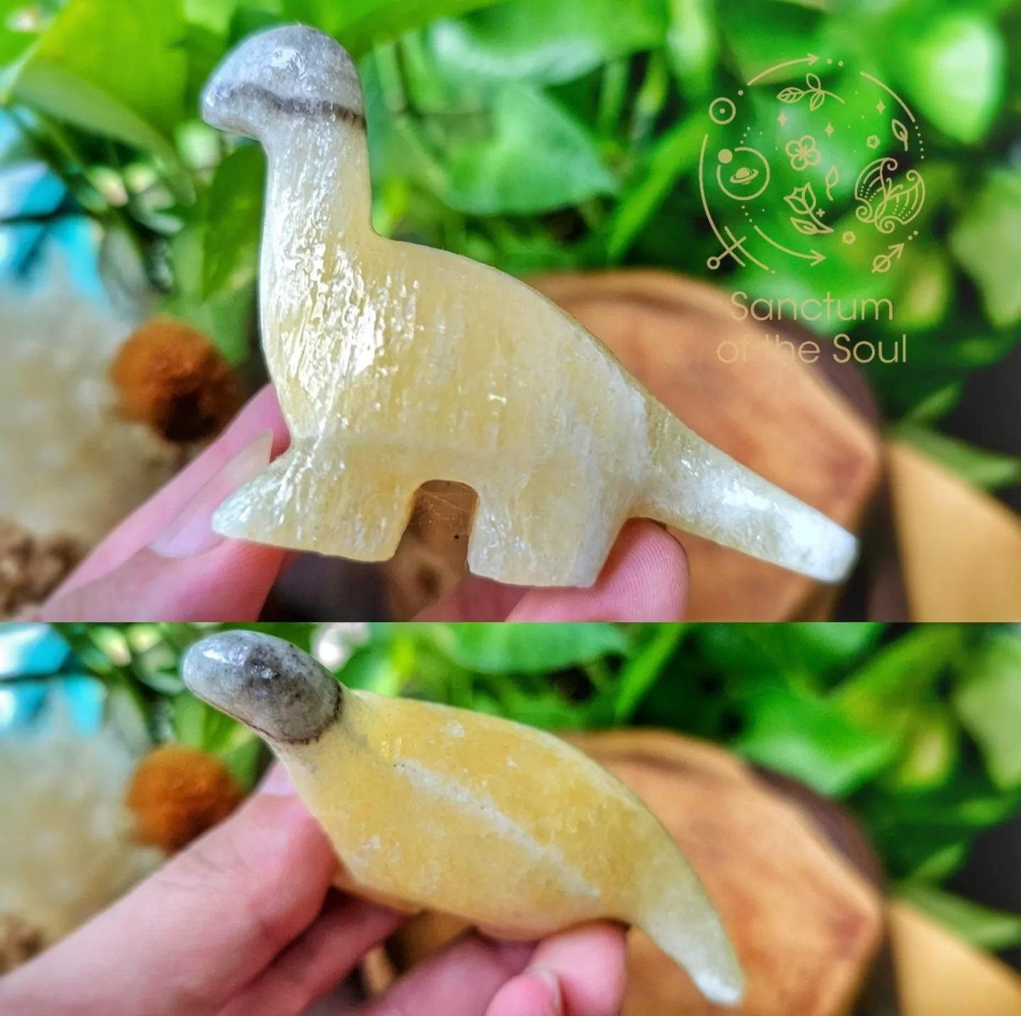 Natural History Blind Boxes