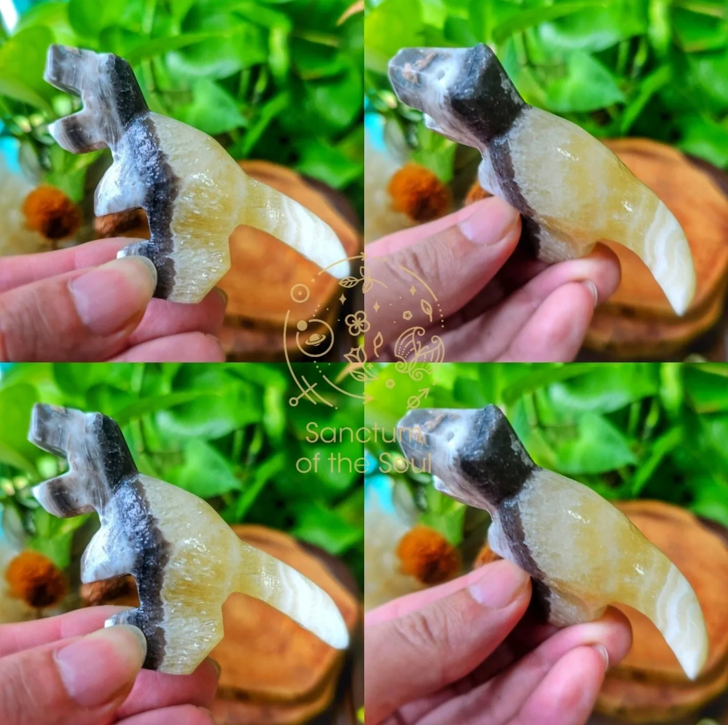 Natural History Blind Boxes