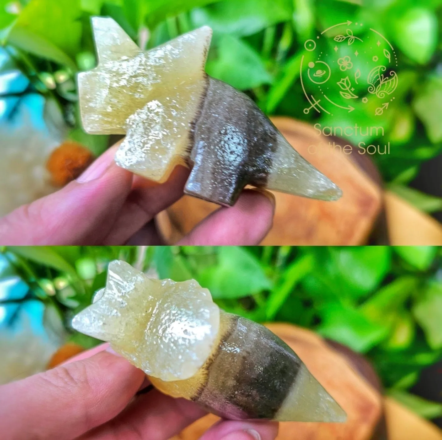 Natural History Blind Boxes