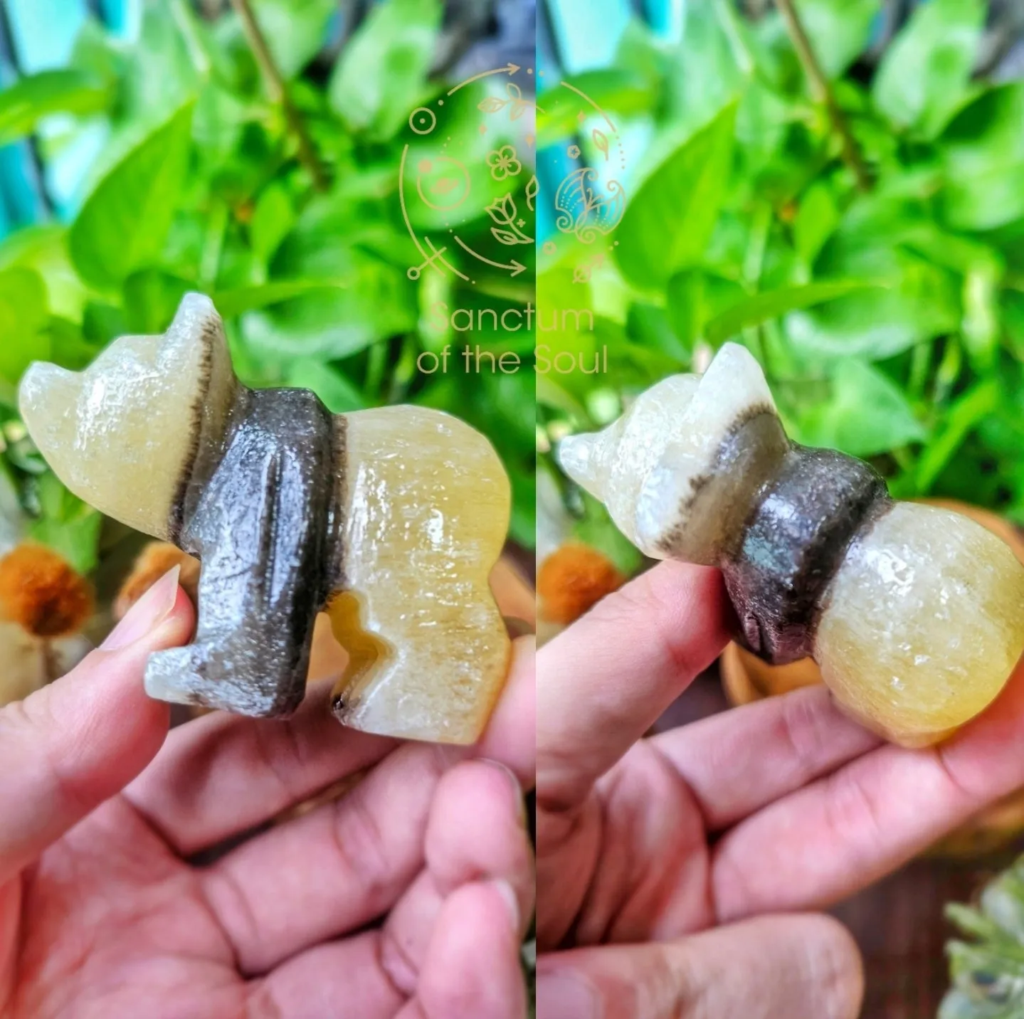 Natural History Blind Boxes