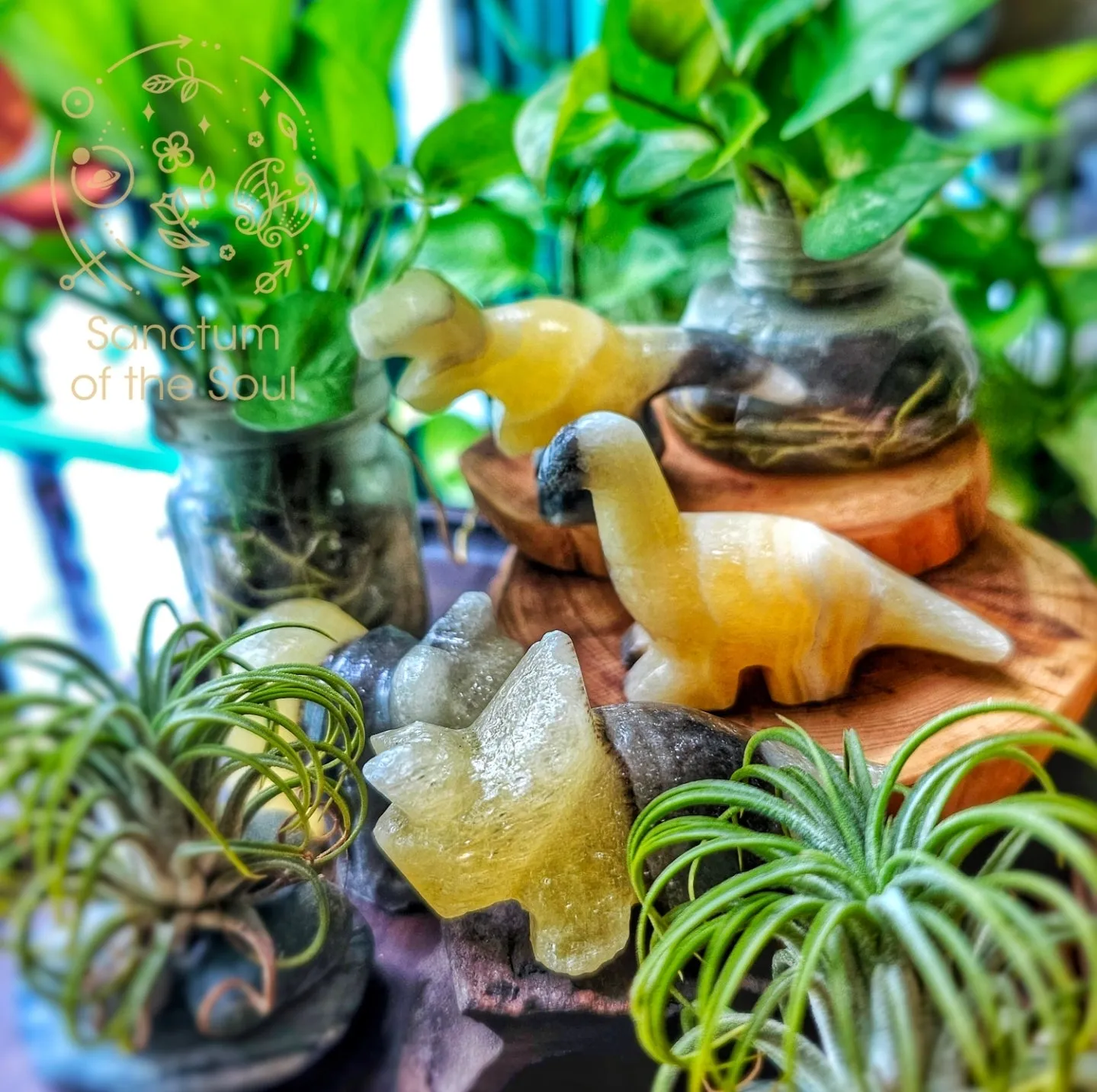 Natural History Blind Boxes