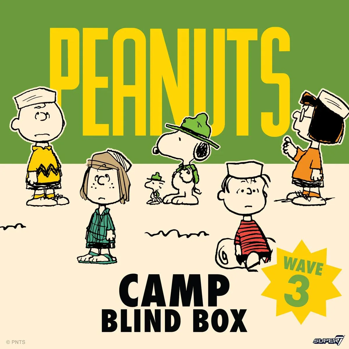 Peanuts Blind Box Wave 3 - Camp Individual Blind Box