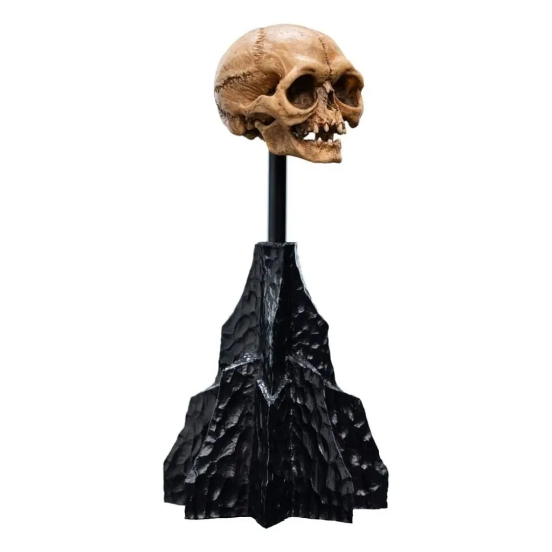 The Lord Of The Rings Skull Of Gollum Polystone Statue By Weta Workshop